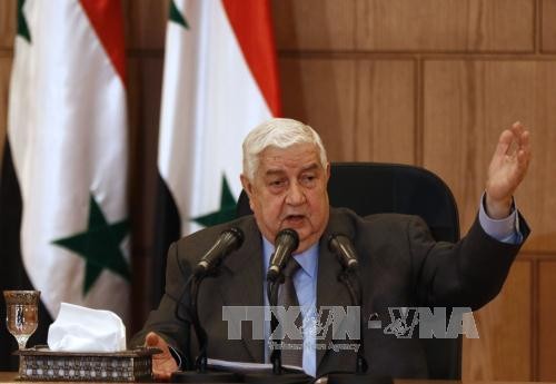 Syrian government denies alleged use of chemical weapons - ảnh 1